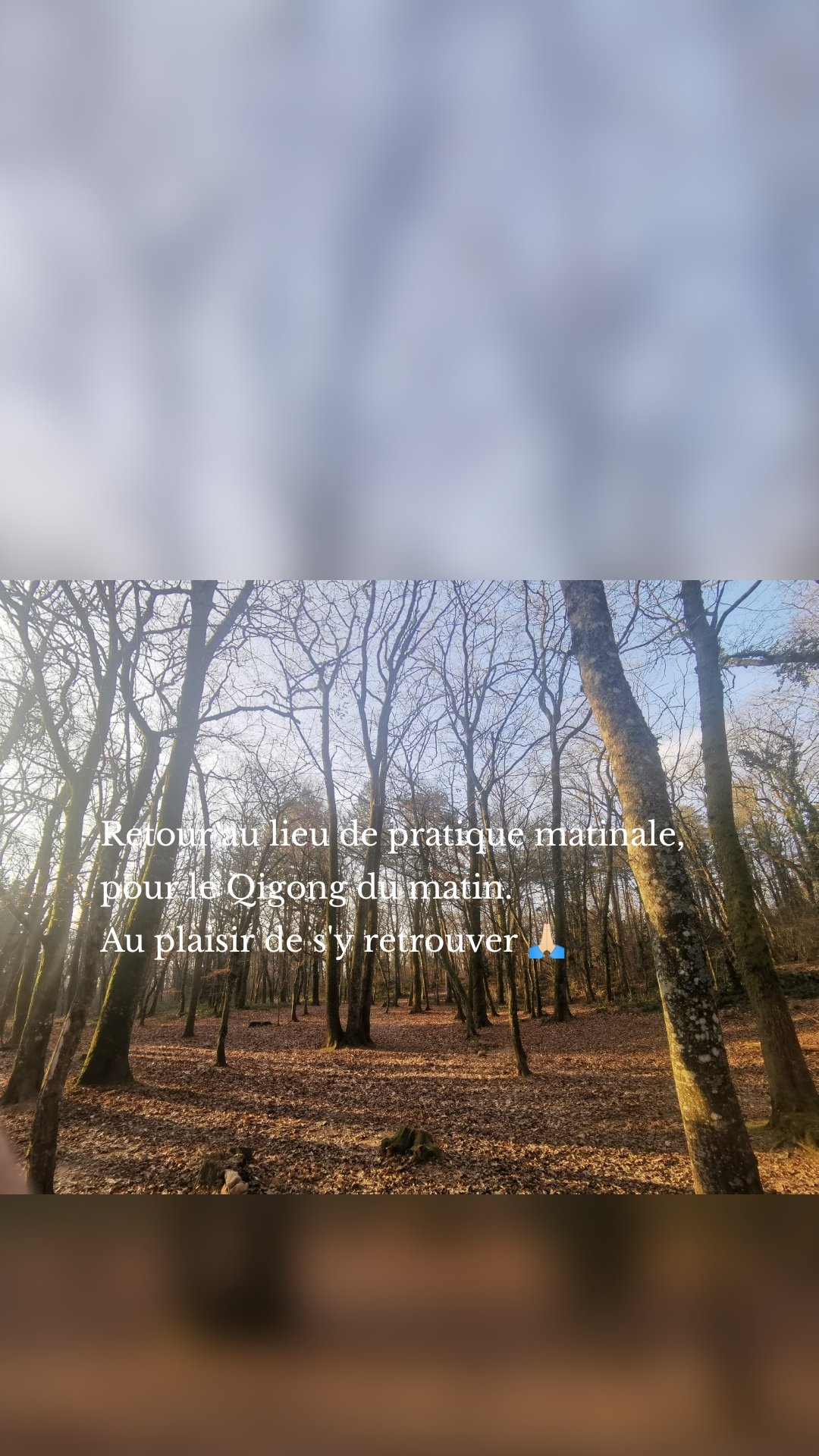 Retour au lieu de pratique matinale, pour le Qigong du matin.
Au plaisir de s'y retrouver 🙏🏻